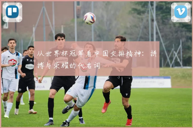 从世界杯冠军看中国女排精神：拼搏与荣耀的代名词